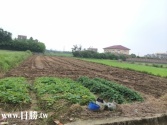 售桃園市大園區航空城T4區-埔心979-1農地3,842萬