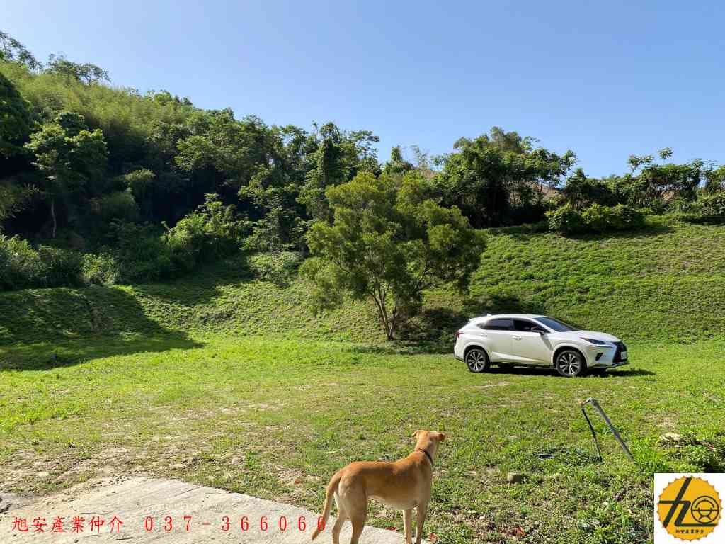 銅鑼農牧用地~2視意圖