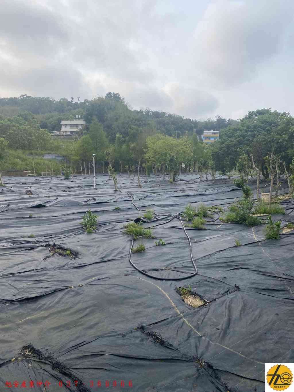 苗栗市平坦農地視意圖