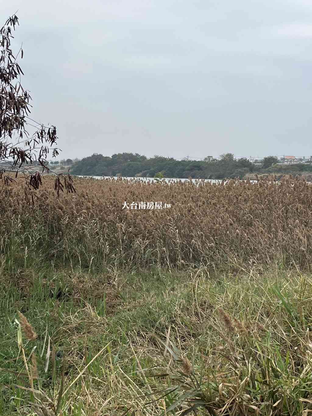 仁德便宜農地視意圖